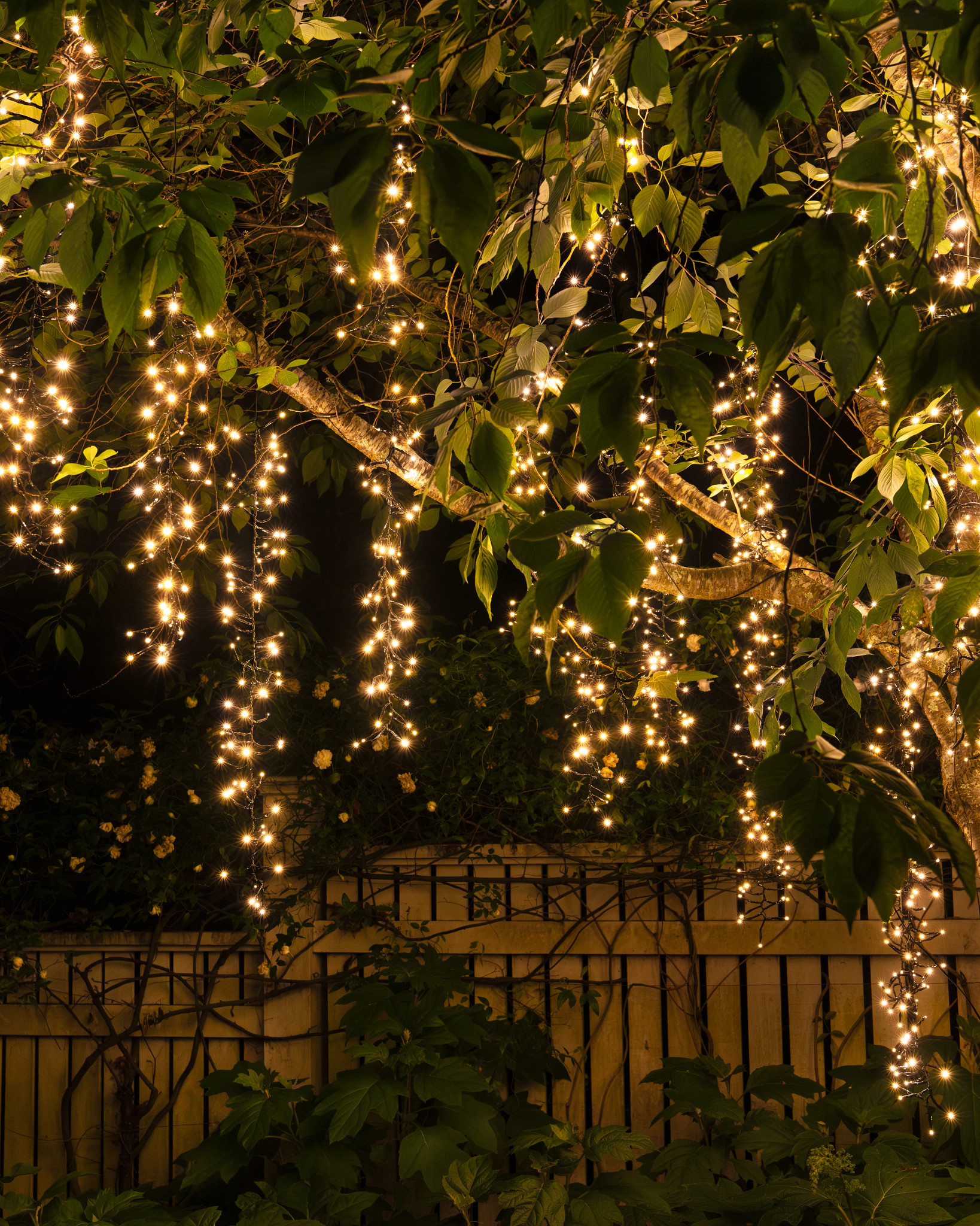 Guirlande lumineuse d'arbre en cascade blanc chaud extérieur