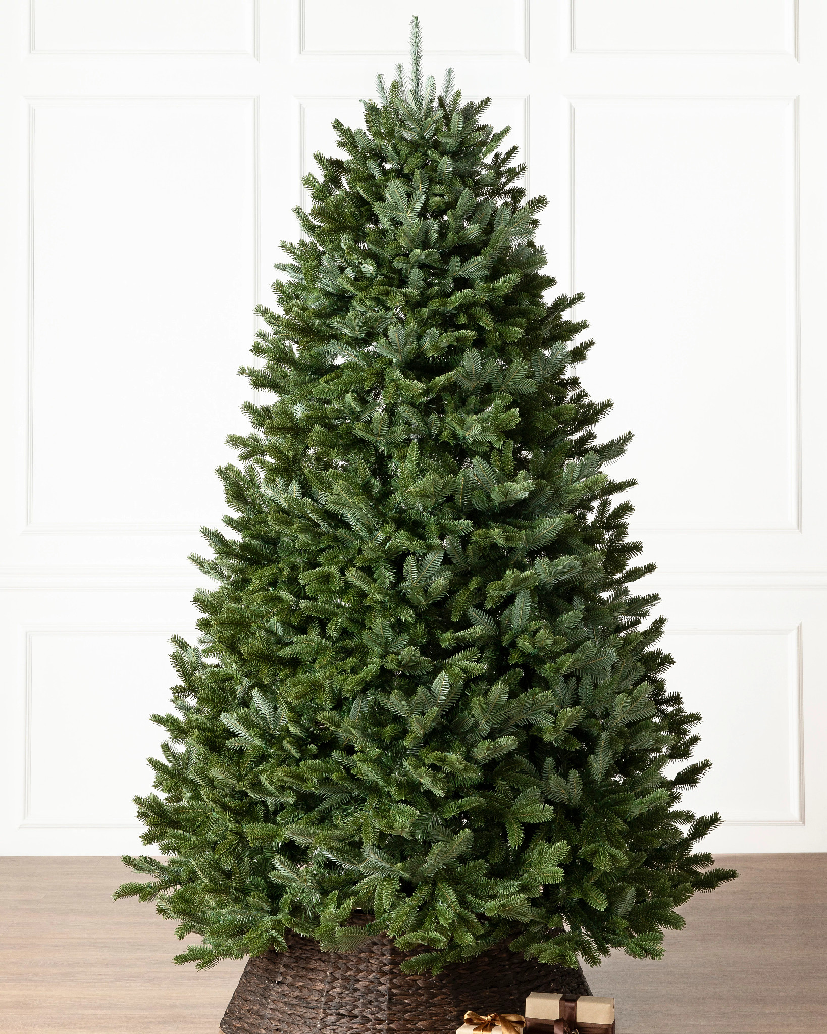 Fir Fraser BH