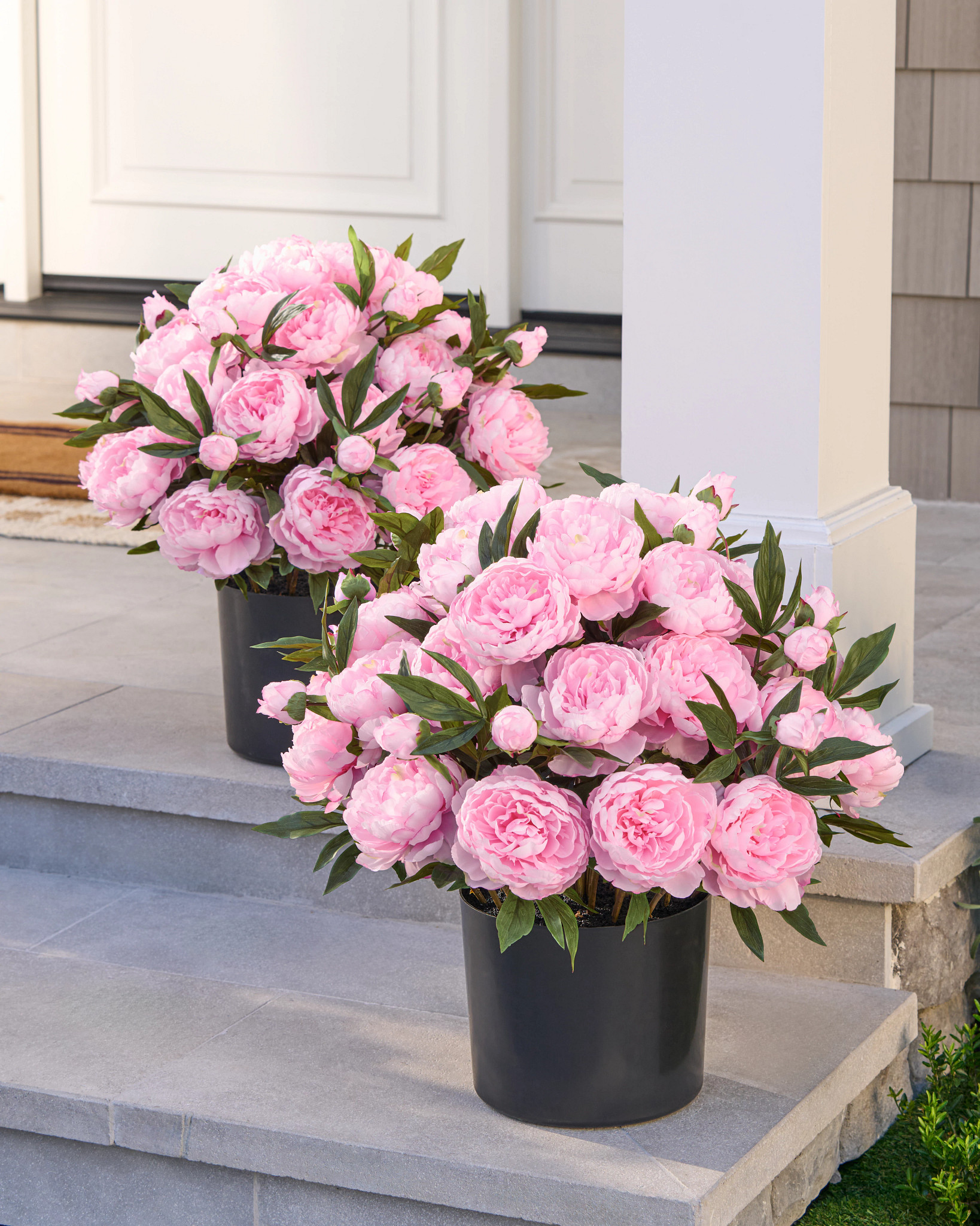 Remplisseur de pot rose pêche extérieur