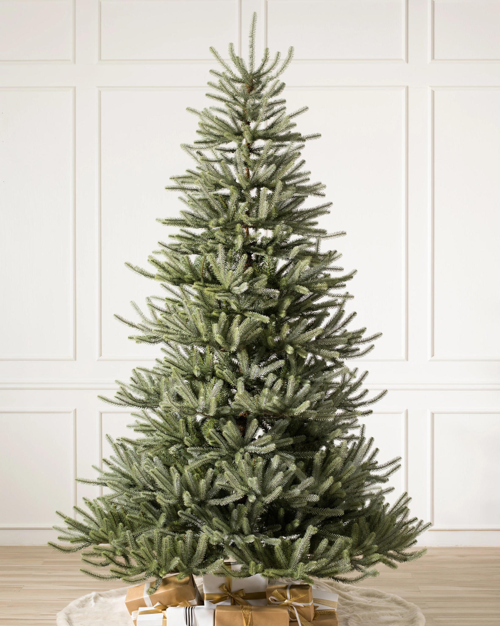Épicéa Sanibel