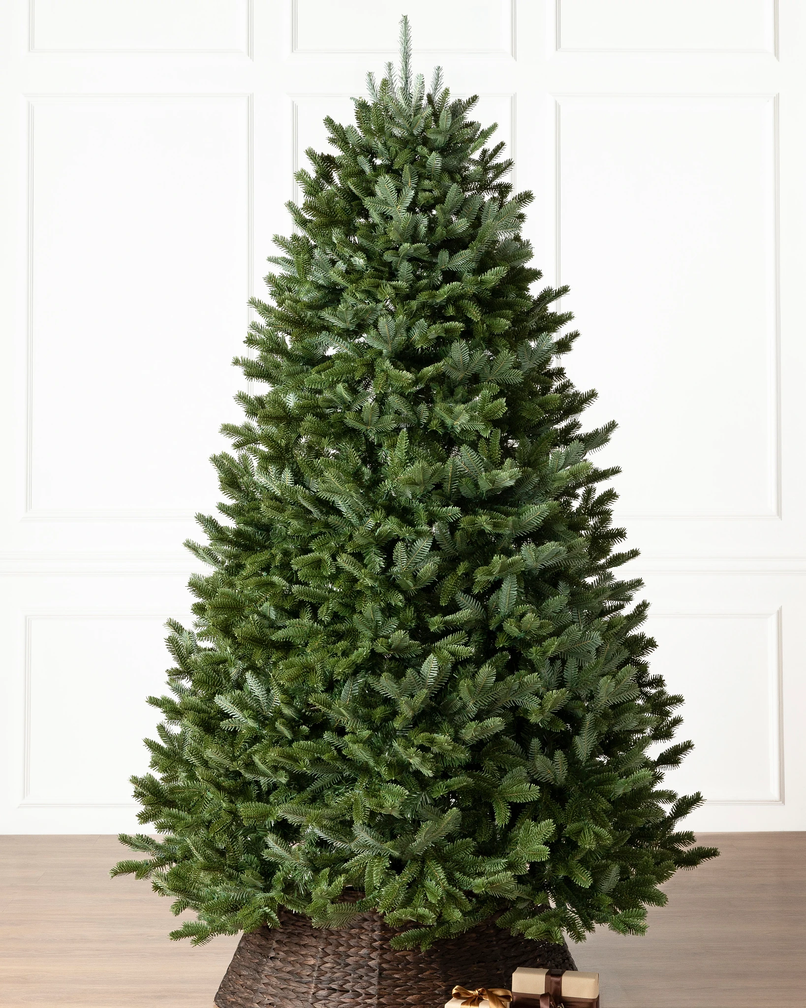 Fir Fraser BH