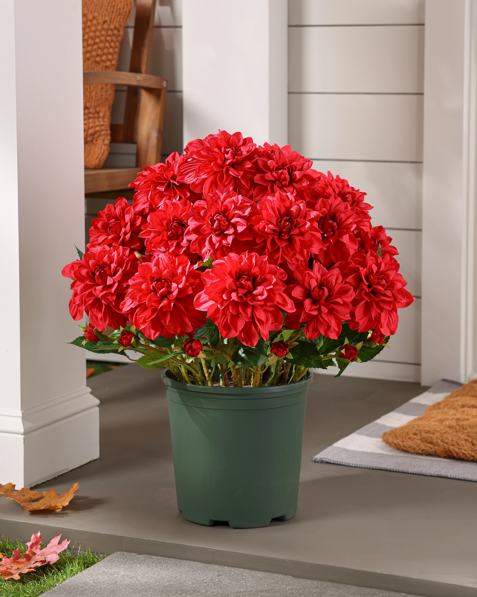 Remplisseur de pot de dahlias vifs orange extérieur