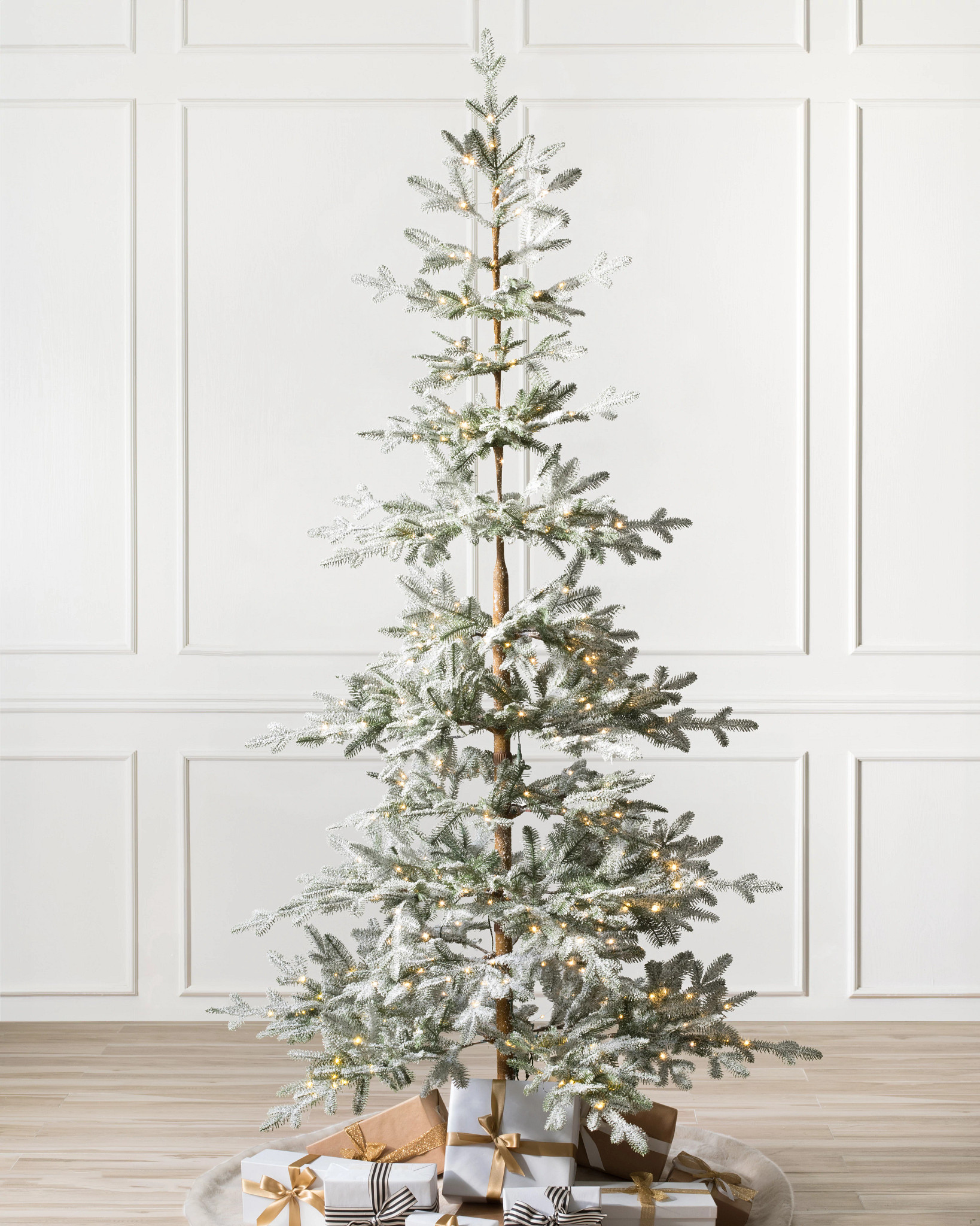 Fir Balsam Alpiné Givré