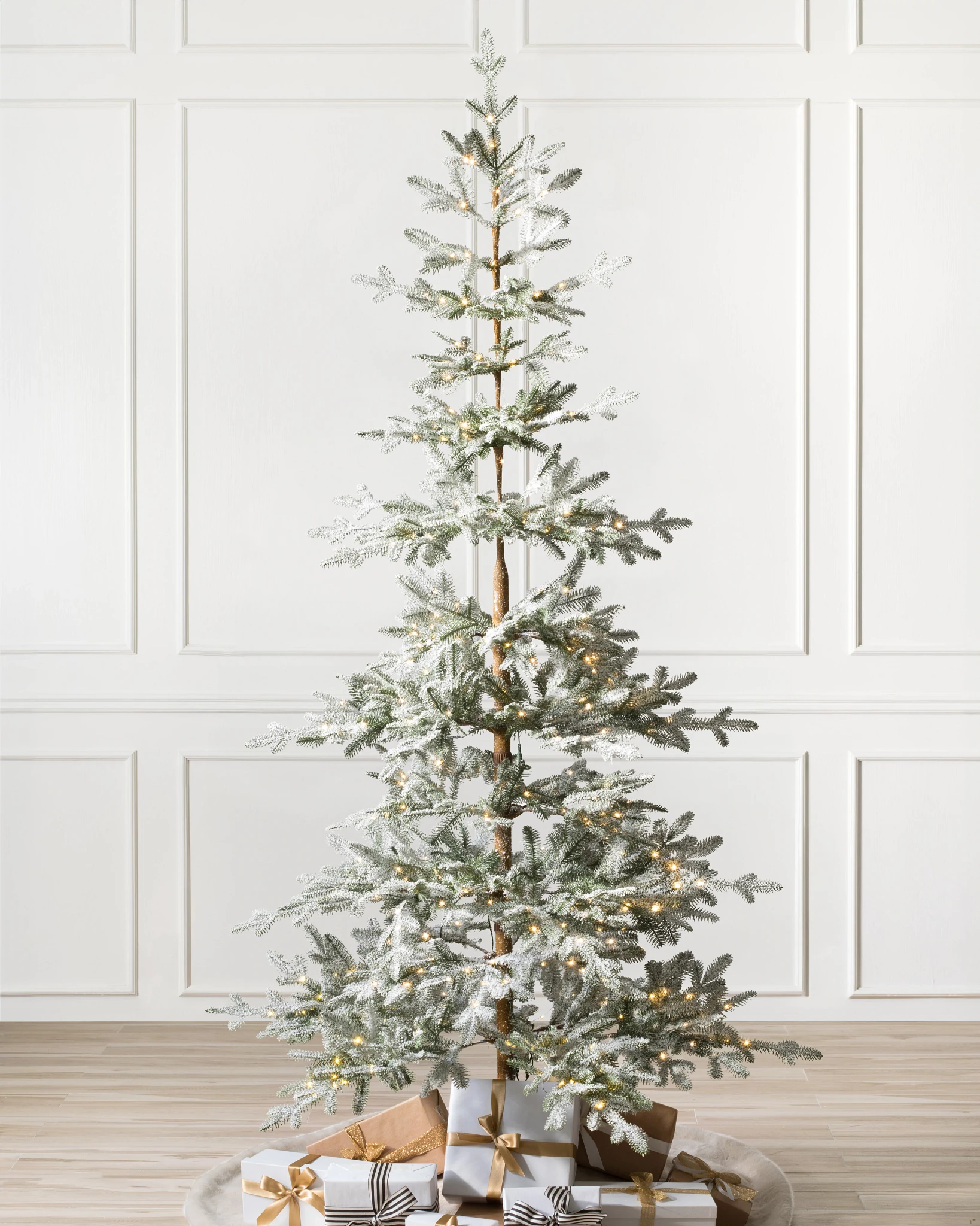 Fir Balsam Alpiné Givré